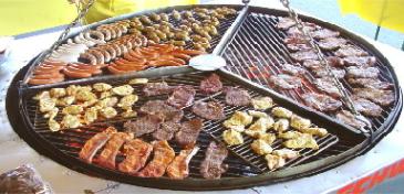 Fedders Schwenkgrill